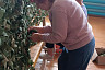 Жительницы саратовского села объединились в группу помощи бойцам